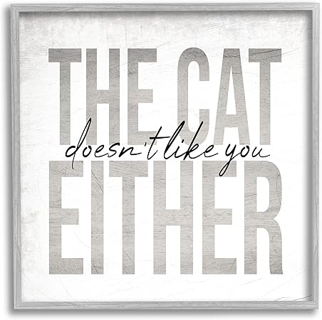 Stupell Industries The Cat Doesn't Like You Either Pet Phrase, Designed by Daphne Polselli Gray Framed Wall Art, 24 x 24, Grey