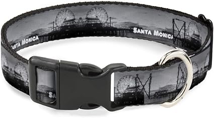 Buckle-Down Cat Collar Breakaway Vivid Santa Monica Pier Skyline Grays White 6 to 9 Inches 0.5 Inch Wide