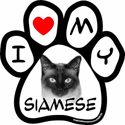 I Love My Siamese Image Paw Car Magnet, 5-1/2-Inch by 5-1/2-Inch