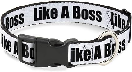 Buckle-Down Cat Collar Breakaway Like A Boss White Black 6 to 9 Inches 0.5 Inch Wide