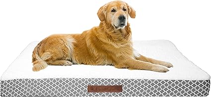 Wags N' Whiskers Cezebel Trellis Orthopedic X-Large Large Pet Bed