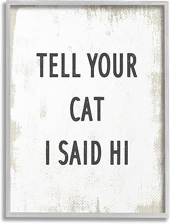 Stupell Industries Tell Your Cat I Said Hi Phrase Feline Fun, Design by Daphne Polselli Gray Framed Wall Art, 16 x 20, Off- White