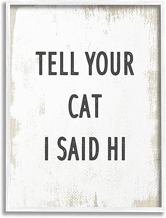 Stupell Industries Tell Your Cat I Said Hi Phrase Feline Fun, Design by Daphne Polselli White Framed Wall Art, 11 x 14