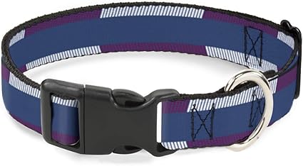 Buckle-Down Cat Collar Breakaway Hash Mark Stripe Turquoise Fuchsia White 6 to 9 Inches 0.5 Inch Wide