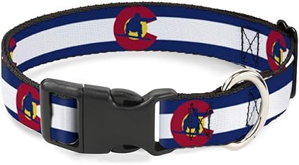 Buckle-Down Cat Collar Breakaway Colorado Flag Snowboarder Blue White Red Yellow 9 to 15 Inches 0.5 Inch Wide