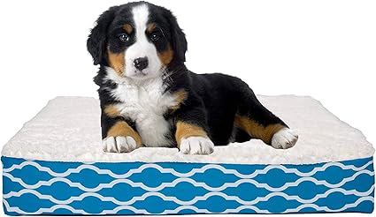 Wags N' Whiskers Trieste Narrow Trellis Small Orthopedic Pet Bed