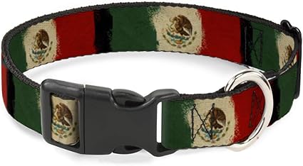 Buckle-Down Cat Collar Breakaway Mexico Flag Distressed Painting 6 to 9 Inches 0.5 Inch Wide