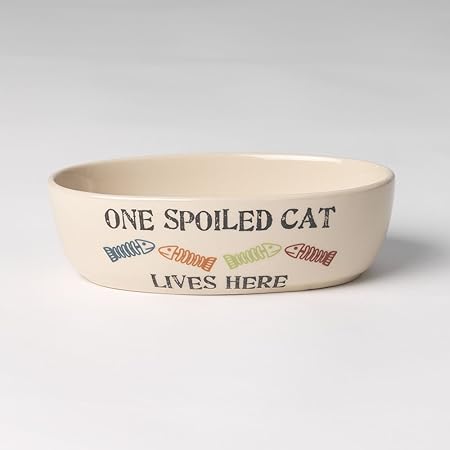 PetRageous 12011 One Spoiled Cat Oval Cat Bowl 2-Cup Capacity with Whisker Friendly 6..5-Inch Width, Natural