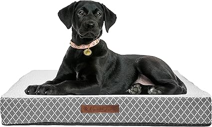 Wags N' Whiskers Atkins Lattice Orthopedic Medium Pet Bed