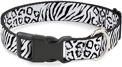 Buckle-Down Cat Collar Breakaway Cheebra White Black 9 to 15 Inches 0.5 Inch Wide