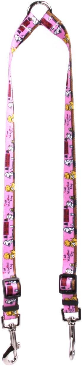 Yellow Dog Design I Hate Valentines Day Coupler Dog Leash 3/4