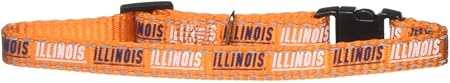 NCAA Illinois Illini Cat Collar, 3/8 x 8-12