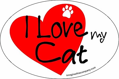 4-Inch by 6-Inch Car Magnet Heart Oval, Cat