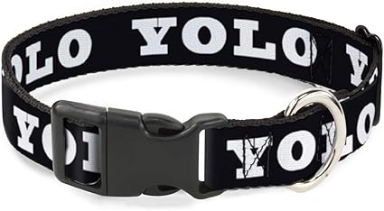 Cat Collar Breakaway YOLO Bold Black White 9 to 15 Inches 0.5 Inch Wide