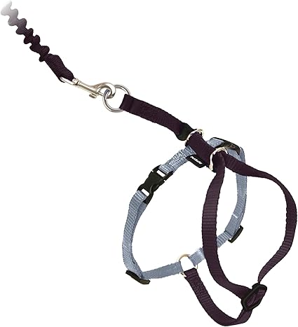 PetSafe Come with Me Kitty Harness and Bungee Leash, Harness for Cats, Large, Black/Silver