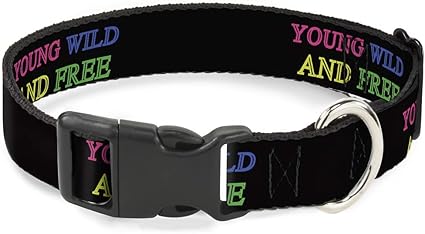 Buckle-Down Cat Collar Breakaway Young Wild and Free Outline Black Multi Neon 6 to 9 Inches 0.5 Inch Wide