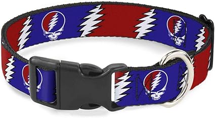 Buckle-Down Cat Collar Breakaway Steal Your Face Lightning Bolt Repeat Red White Blue 6 to 9 Inches 0.5 Inch Wide