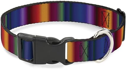 Buckle-Down Cat Collar Breakaway Zarape3 Vertical Multi Color Fade 9 to 15 Inches 0.5 Inch Wide