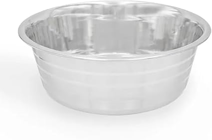 Lightweight Stainless Steel Feeding Dish for Dog, Cat, Pet Food and Water Dish | Silver, 1-Pint