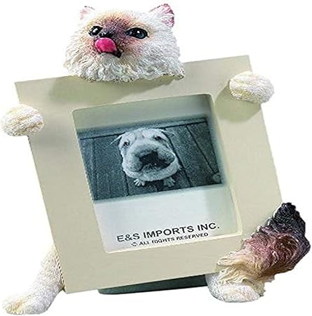 E&S Pets 35316-1 Small Cat Frames