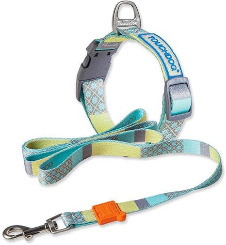 Touchdog ® 'Trendzy' 2-in-1 Matching Fashion Designer Printed Dog Leash and Collar, Blue, Medium