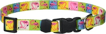 Yellow Dog Design Pink Flamingo Dog Collar, X-Small-3/8 Wide and fits Neck Sizes 8 to 12