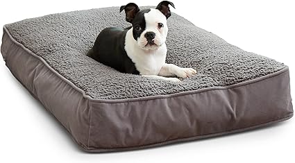 South Pine Porch Buddy Rectangle Pillow Style Dog Bed, Gray Sherpa, Small (24