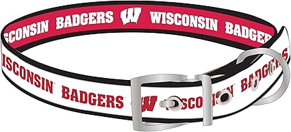 Wisconsin Badgers Reversible NCAA Dog Collar, Medium. Premium Home & Away Two-Sided Pet Collar Adjustable with Metal Buckle. Your Favorite NCAA Football Team with Unique Design on Each Side!