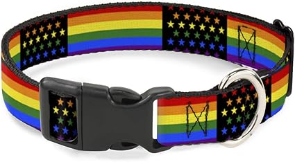 Buckle-Down Cat Collar Breakaway Flag American Pride Rainbow Black 6 to 9 Inches 0.5 Inch Wide