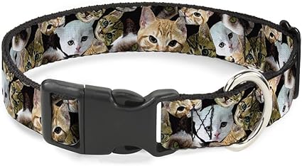 Buckle-Down Cat Collar Breakaway Kitten Faces Scattered Black 6 to 9 Inches 0.5 Inch Wide