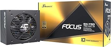 Seasonic FOCUS GX-750 | 750W | 80+ Gold | Full- Modular | ATX Form Factor| Low Noise | Premium Japanese Capacitor | 10 Year Warranty | Nvidia RTX 30/40 Super & AMD GPU Compatible (Ref. SSR-750FX)