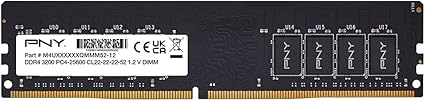 PNY Performance 8GB DDR4 DRAM 3200MHz (PC4-25600) CL22 (Compatible with 2666MHz, 2400MHz or 2133MHz) 1.2V Desktop (DIMM) Computer Memory – MD8GSD43200-TB