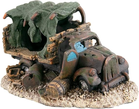 Underwater Treasures Sunken Army Truck