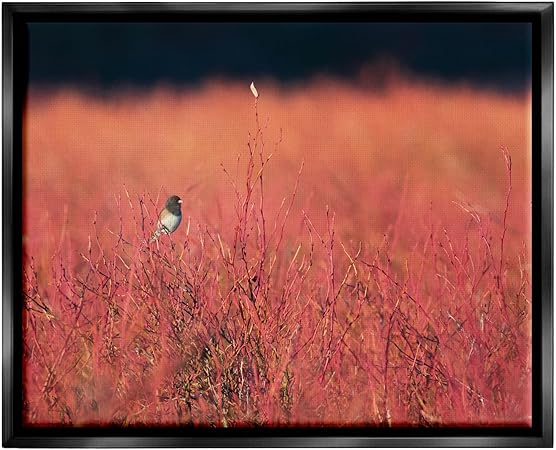 Stupell Industries Bird in Red Field Black Framed Floater Canvas Wall Art Design by Nancy Crowell