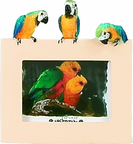 E&S Pets 35316-12 Small Bird Frames