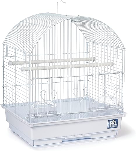 Prevue Pet Products Parakeet Starter Cage Kit with Toys, Perches, Cups, Removable Grill and Pullout Tray