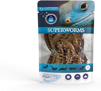 Jurassic Natural Superworm Single Pack 0.70oz