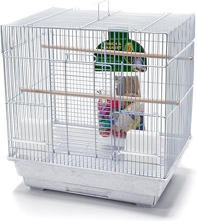 PENN-PLAX Starter Bird Cage – Great for Parakeets, Lovebirds, Parrotlets, Finches, Canaries, and Small Birds– Square Dome – White