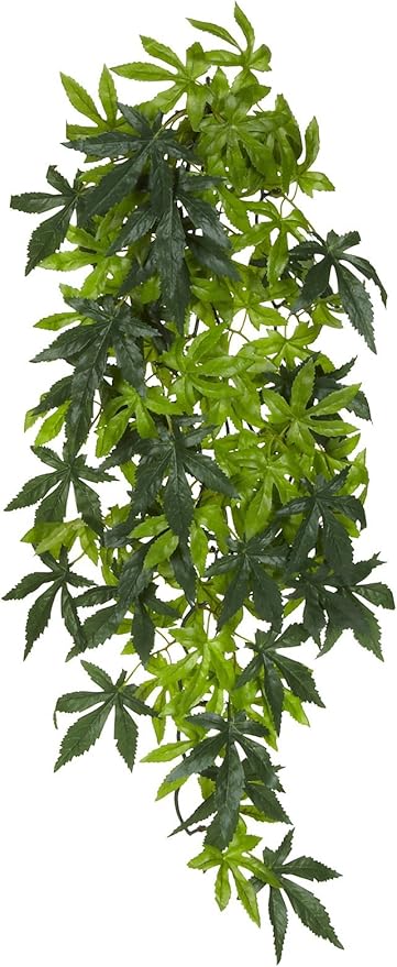 Exo Terra Silk Terrarium Plant, Large, Abutilon