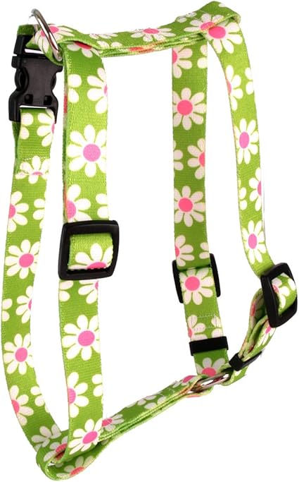 Yellow Dog Design Green Daisy Roman Style H Dog Harness, Large