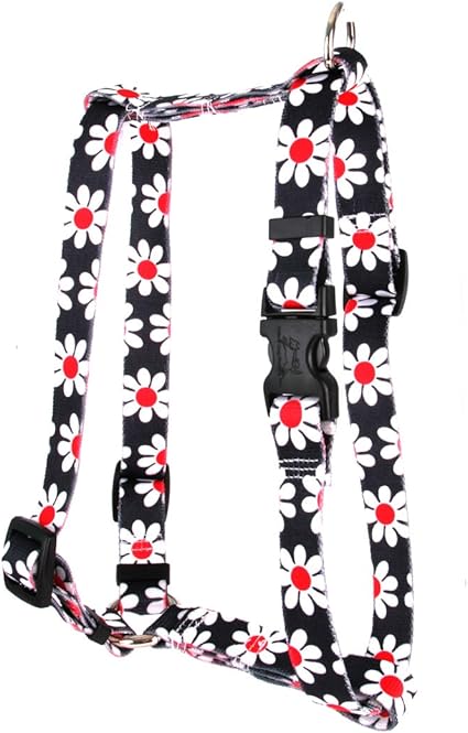 Yellow Dog Design Black Daisy Roman Style H Dog Harness, X-Large/1