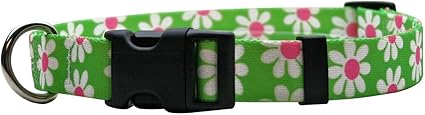 Yellow Dog Design Green Daisy Dog Collar 3/8