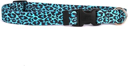 Yellow Dog Design Leopard Teal Dog Collar 3/8