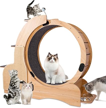 Cat Exercise Wheel Indoor, Cat Sports Running Wheel with Scratching Board Wood Cat Treadmill for Cats Daily Exercise-Natural Wood