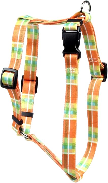 Yellow Dog Design Madras Orange Roman Style H Dog Harness, Large-1