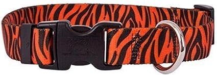 Yellow Dog Design Zebra Rust Dog Collar with Tag-A-Long ID Tag System-Large-1