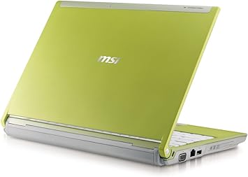 MSI VR220-017US 12.1-Inch Laptop - Green