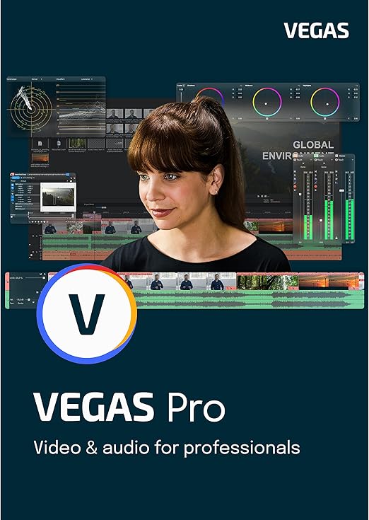 VEGAS 19 Pro