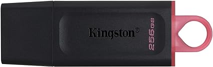 Kingston DataTraveler Exodia 256GB USB 3.2 Flash Drive DTX/256GB, Black