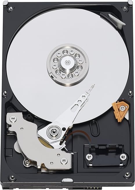 Western Digital 80 GB Caviar Blue SATA 7200 RPM 8 MB Cache Bulk/OEM Desktop Hard Drive WD800AAJS